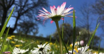 Erfahrung aus der Natur