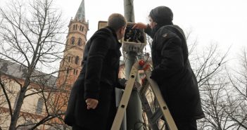 Von Bäumen und Betonwüsten