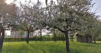 Von der Klotzbeute zum Bienenkasten