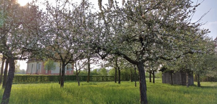Von der Klotzbeute zum Bienenkasten