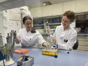 Salomea Löffl (links) und Morgane Paternoster bei der Probenanalyse im Labor. Foto: Sonja Gommersbach / UKW