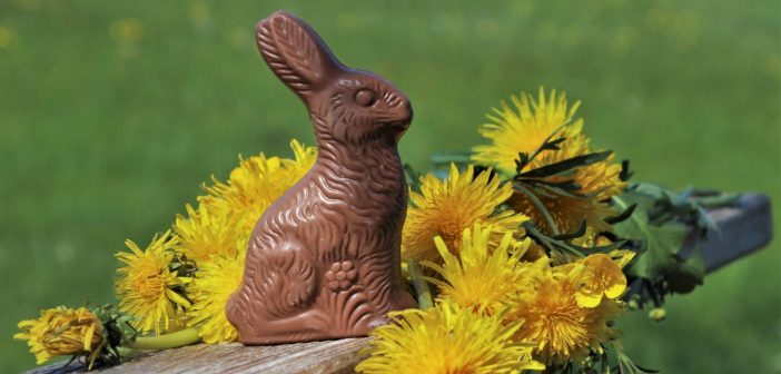 „High Protein“-Schokoladenhasen täuschen über hohen Kaloriengehalt hinweg